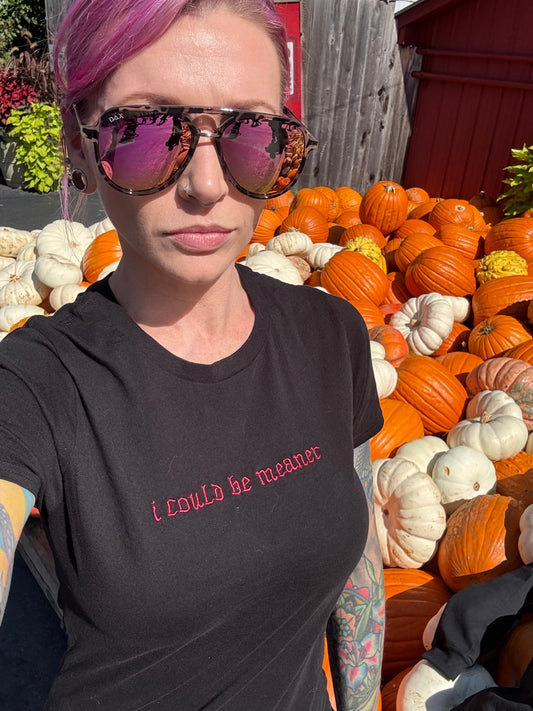 Embroidered T-Shirt - i could be meaner